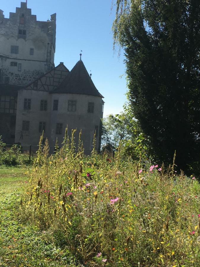 Ferienwohnungen Greitmann Meersburg Luaran gambar